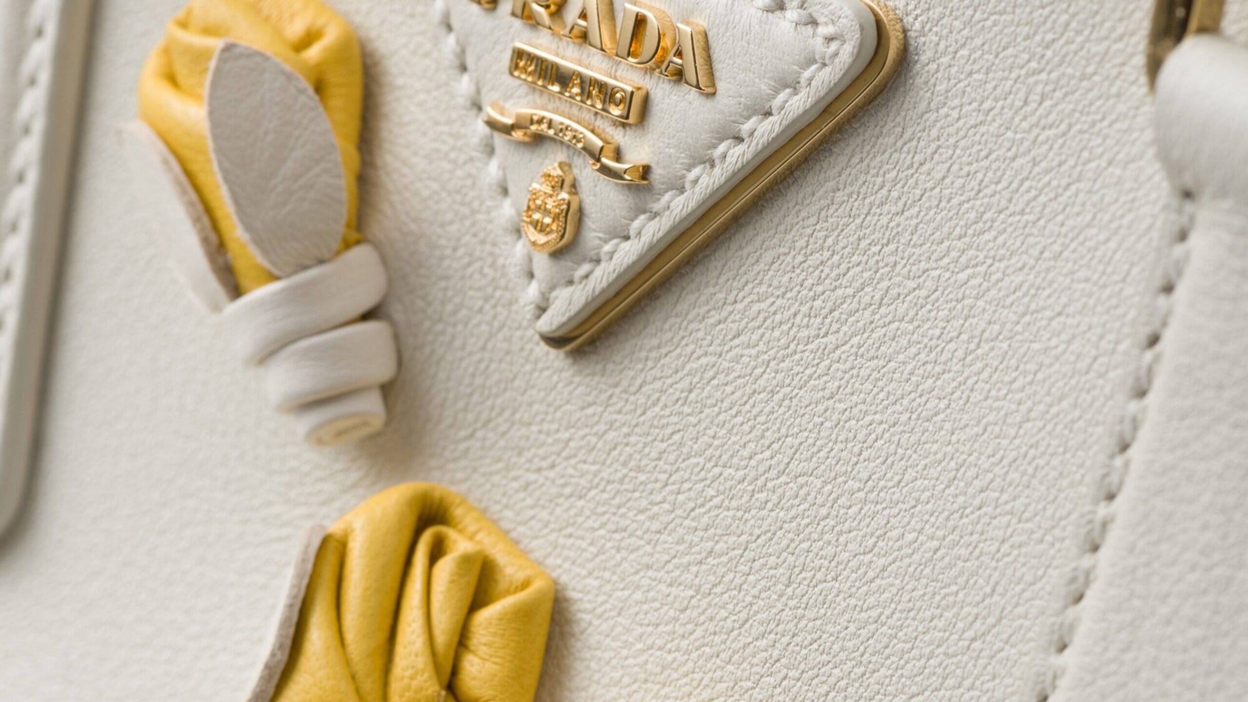 Prada Galleria je synonymom pre eleganciu, výnimočný dizajn a nezameniteľný charakter, ktorý odráža neúnavné úsilie značky o dokonalosť. Táto kolekcia tašiek, ktorá je jednou z najikonečnejších v portfóliu značky, predstavuje dokonalú zmes umenia a remeselnej zručnosti. Každý kus je starostlivo ručne spracovaný so zreteľom na detail, pričom sa kladie dôraz na výber najkvalitnejších materiálov, ako je luxusná koža a odolné tkaniny. Prada Galleria nie je len módnym doplnkom, ale aj ukážkou majstrovského remesla, ktoré sa opiera o dlhoročnú tradíciu, a zároveň sa neustále vyvíja a prispôsobuje moderným trendom.