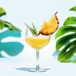 Drinky – leto 2025